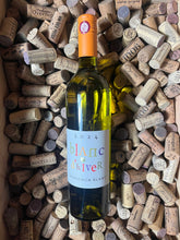 Blanc d’Hiver 2024 - Ampelidae