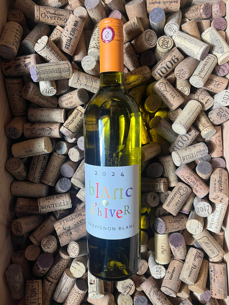 Blanc d’Hiver 2024 - Ampelidae