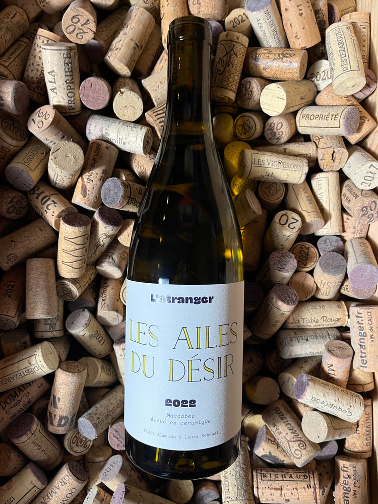 Les ailes du désir 2022 - Domaine L’étranger