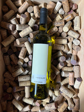 Vinoc Blanc 2021 - Vinoceros