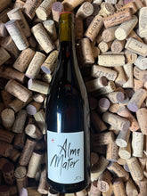 Alma Mater 2022 - Lapalu