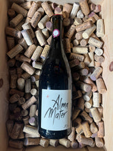 Alma Mater 2021 (Magnum) - Lapalu