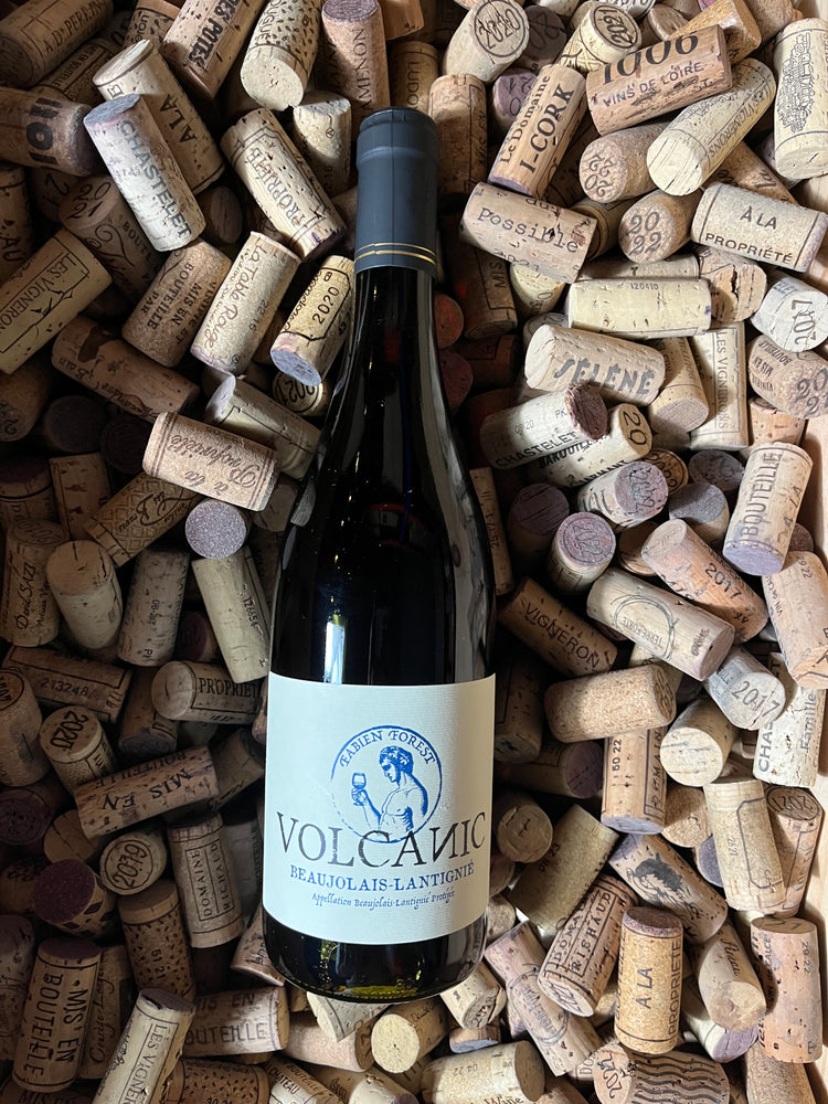 Volcanic 2021 - Fabien Forest