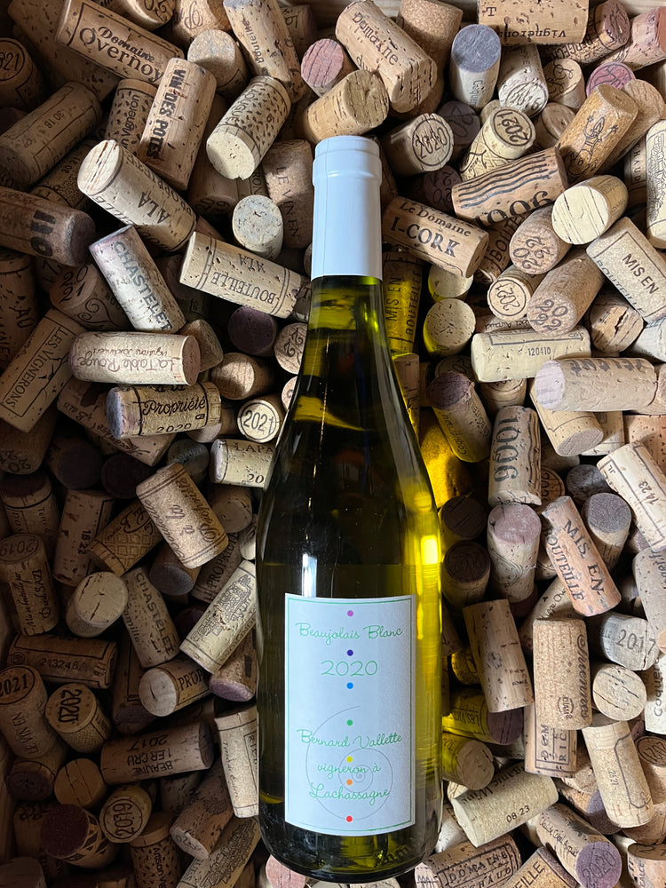 Beaujolais Blanc 2020 - Bernard Vallette