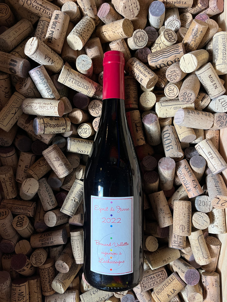 Esprit de Jarre 2022 - Bernard Valette