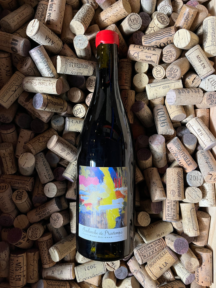 Avalanche De Printemps 2019 - Marc Delienne