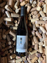 Maurice 2019 - Marc Delienne