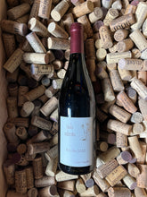 Viola Odorata 2020 - Claire Naudin