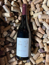 Viola Odorata 2022 - Claire Naudin