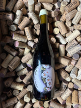 Bouillonnante Quiétude 2022 - Oxymore