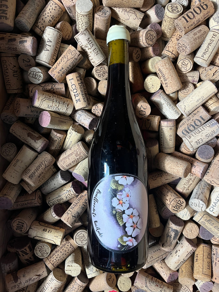 Bouillonnante Quiétude 2022 - Oxymore