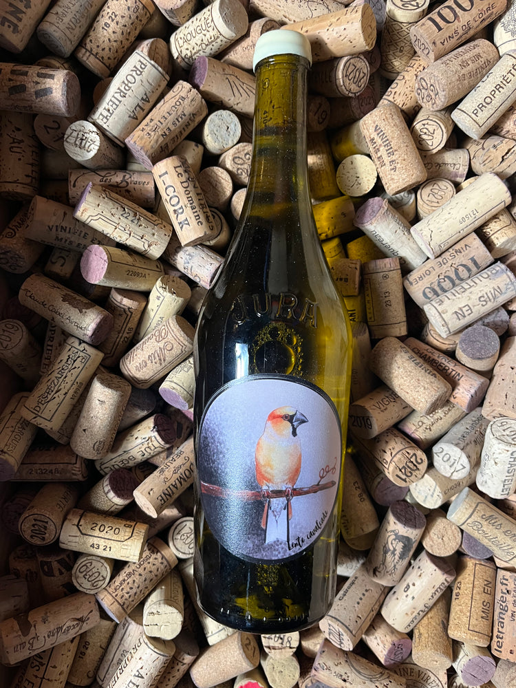 Lente Cavalcade 2022 - Oxymore