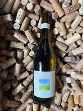 Radicalement Blanc 2023 - Les Vignes Du Fresche