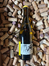 Chablis Vent d’Ange 2019 - Thomas Pico (Domaine Pattes Loup)