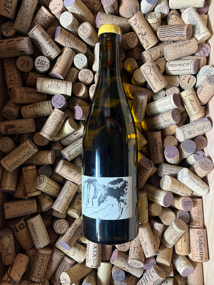 Chablis Vent D’Ange 2021 - Thomas Pico ( Domaine Pattes Loup)