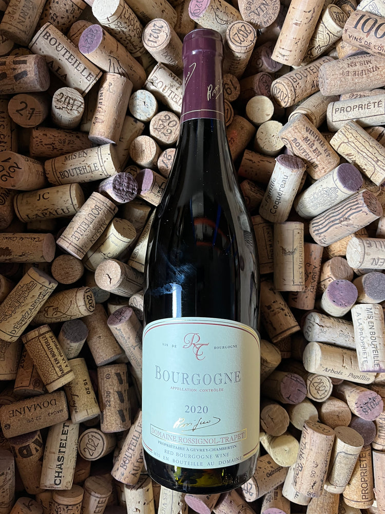 Bourgogne 2020 - Domaine Rossignol-Trapet