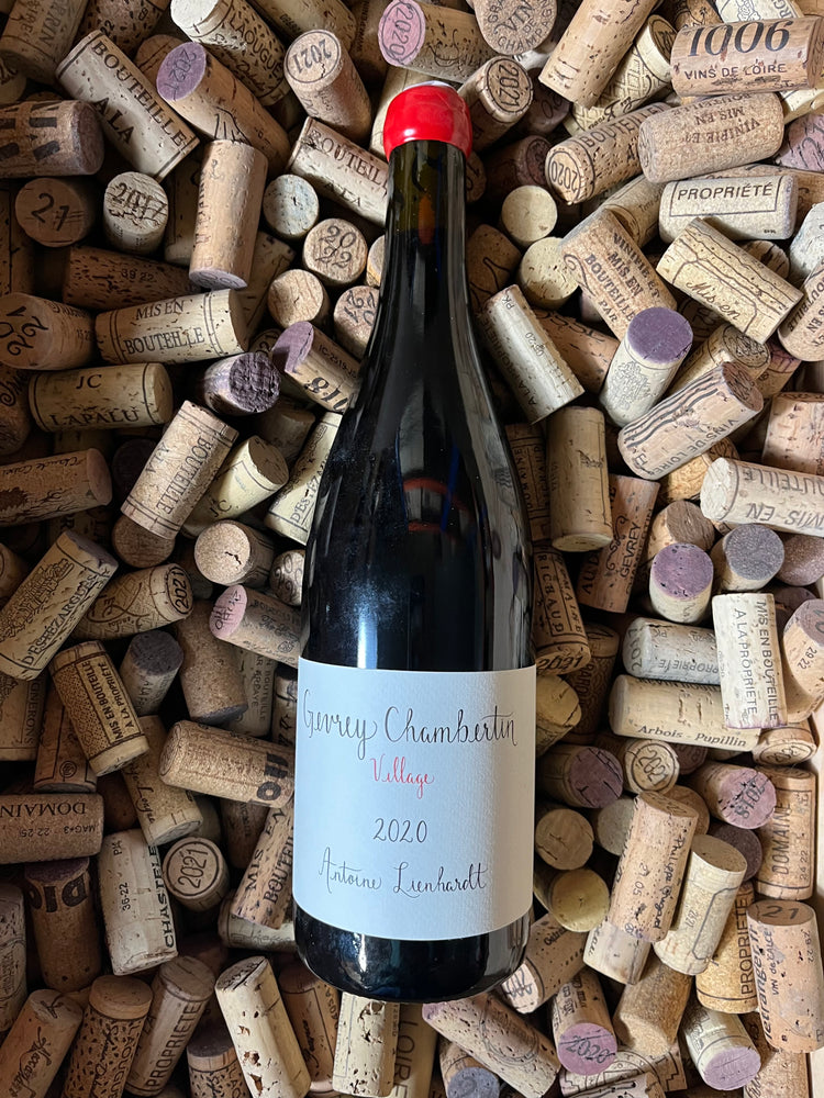 Gevrey Chambertin 2020 - Antoine Lienhardt