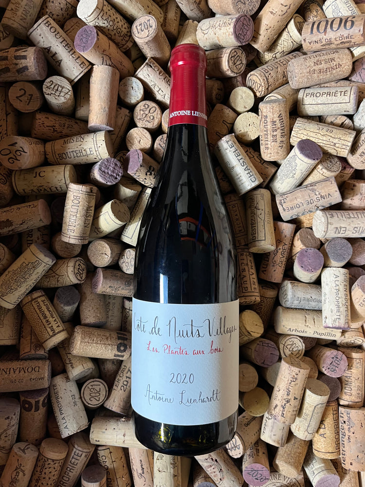 Côtes de Nuits Villages « Les Plantes Aux Bois » 2020 - Antoine Lienhardt