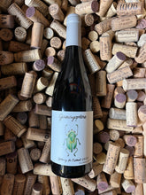 Gamayoptère 2020 - Antoine Lienhardt