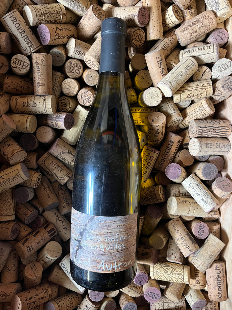 Les Enfers Tranquilles 2019 - Michel Autran