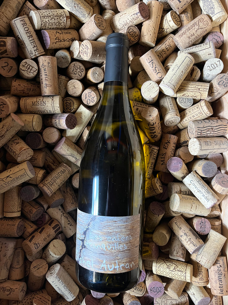 Les Enfers Tranquilles 2018 - Michel Autran