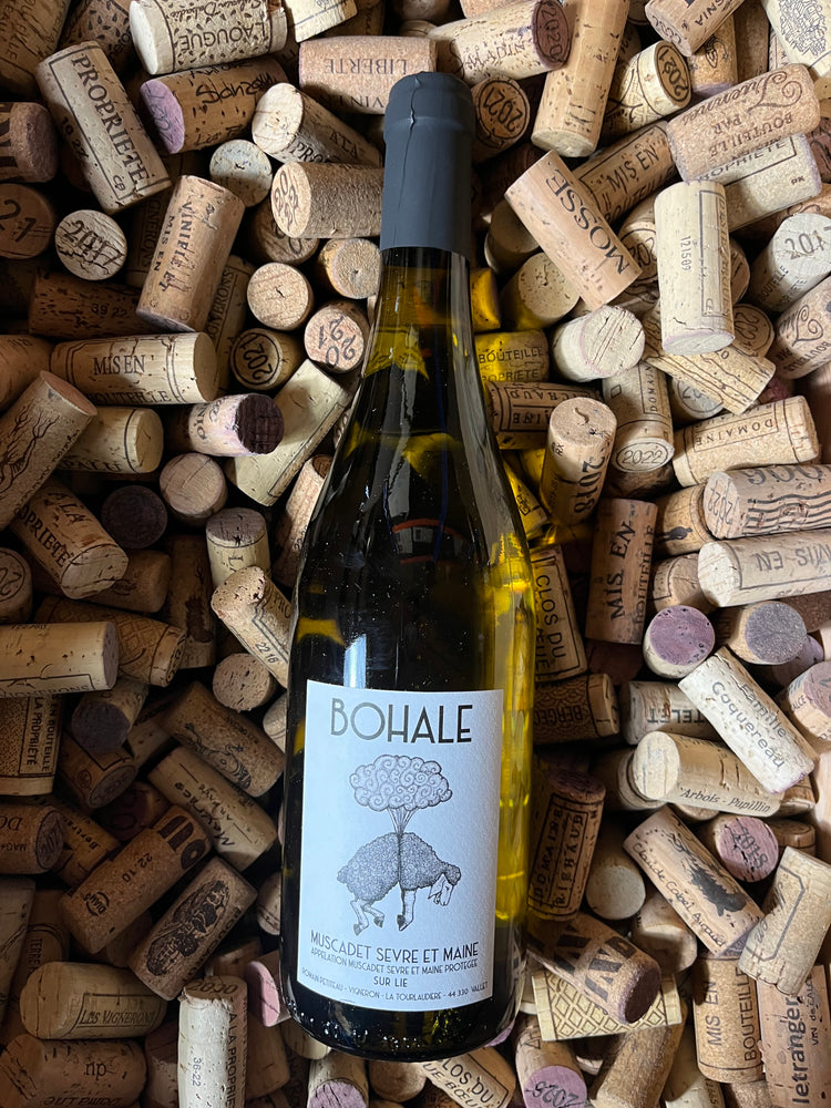 Bohale 2023 - Romain Petiteau