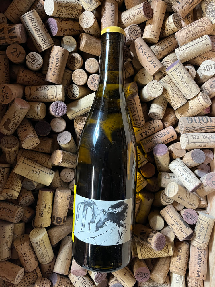 Chablis Vent D’Ange 2022 - Thomas Pico (Domaine Pattes Loup)