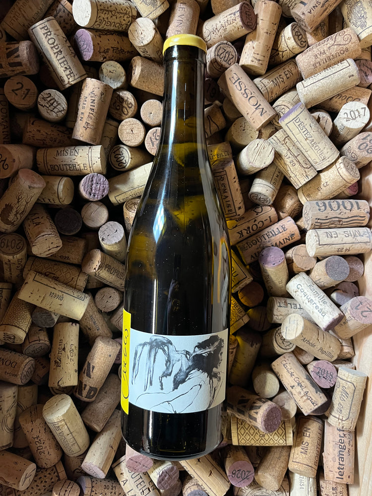 Chablis Vent D’Ange 2020 - Thomas Pico (Domaine Pattes Loup)