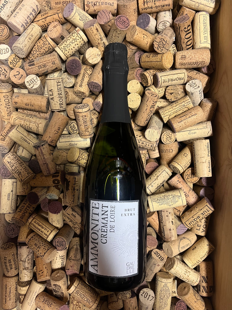 Ammonite 2022 - Château Gaudrelle